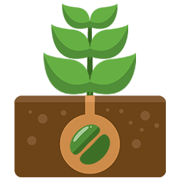 grafica Ginestra degli Schiavoni